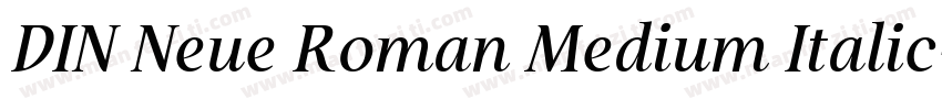 DIN Neue Roman Medium Italic字体转换